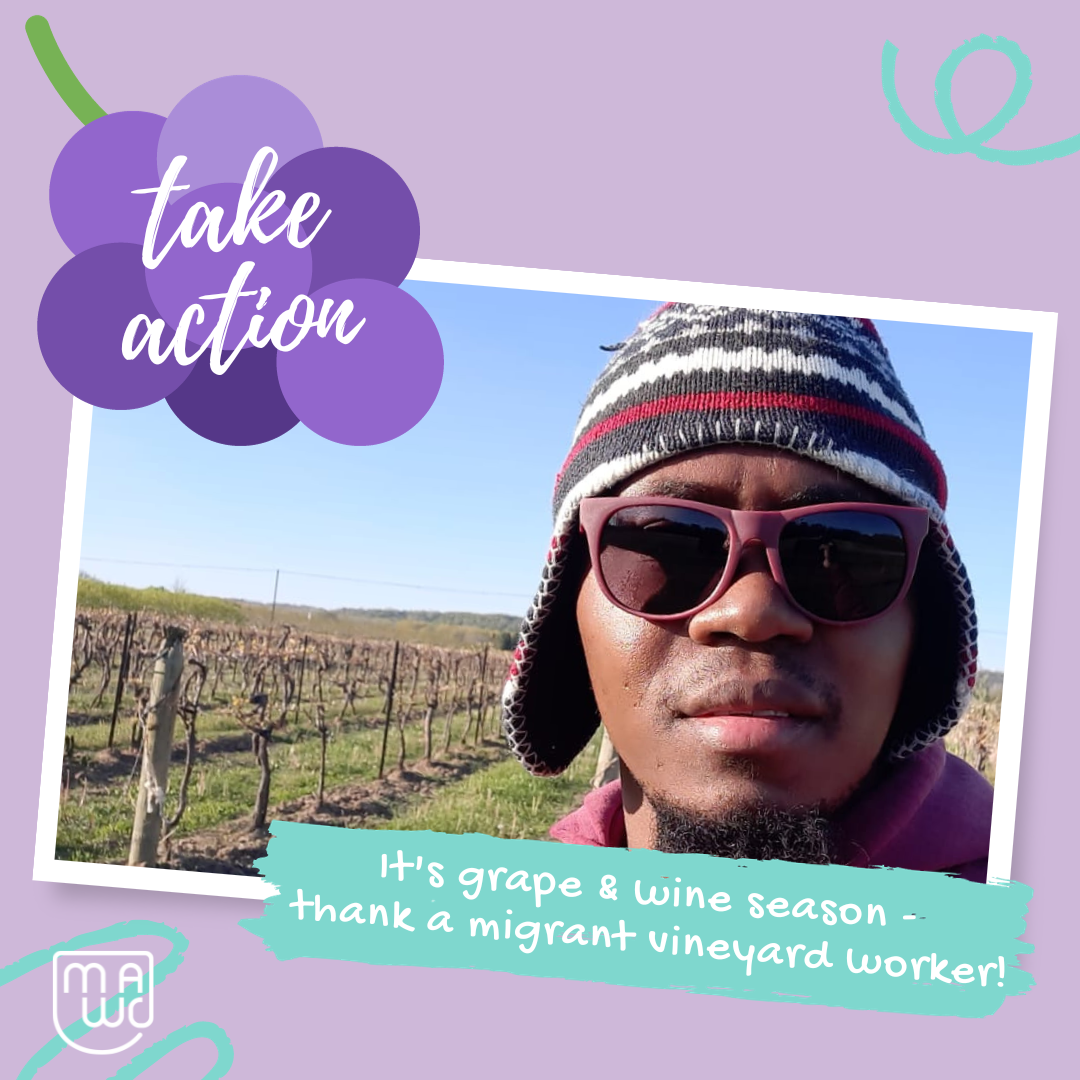 Celebrate grape and wine season by thanking a migrant vineyard worker!
