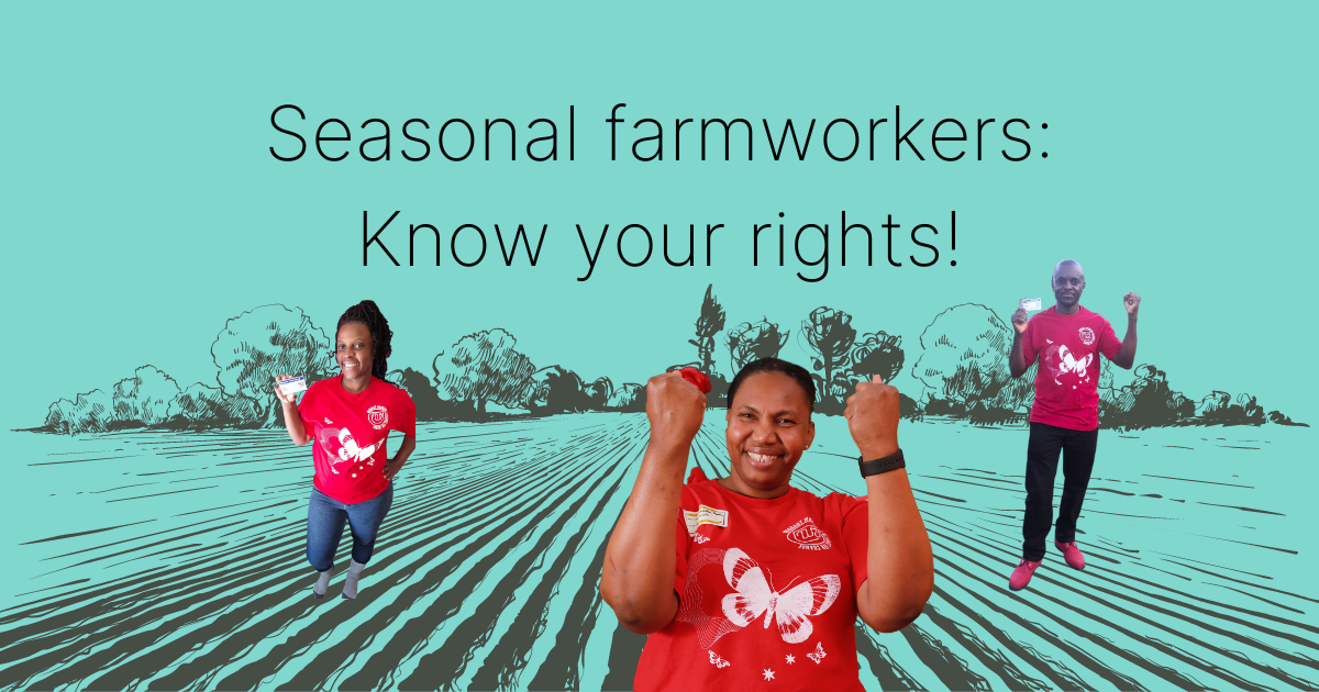 Seasonal Farmworkers: Do you know your rights?