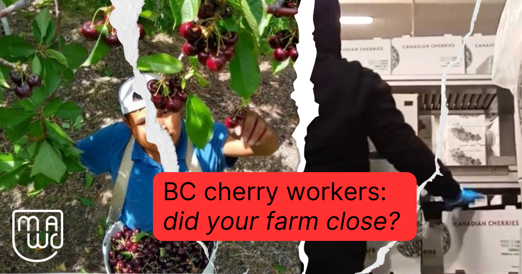 Cherry workers, share your story!